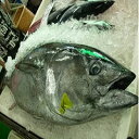 113【ふるさと納税】 長崎県産(養殖)本マグロ 詰合せ