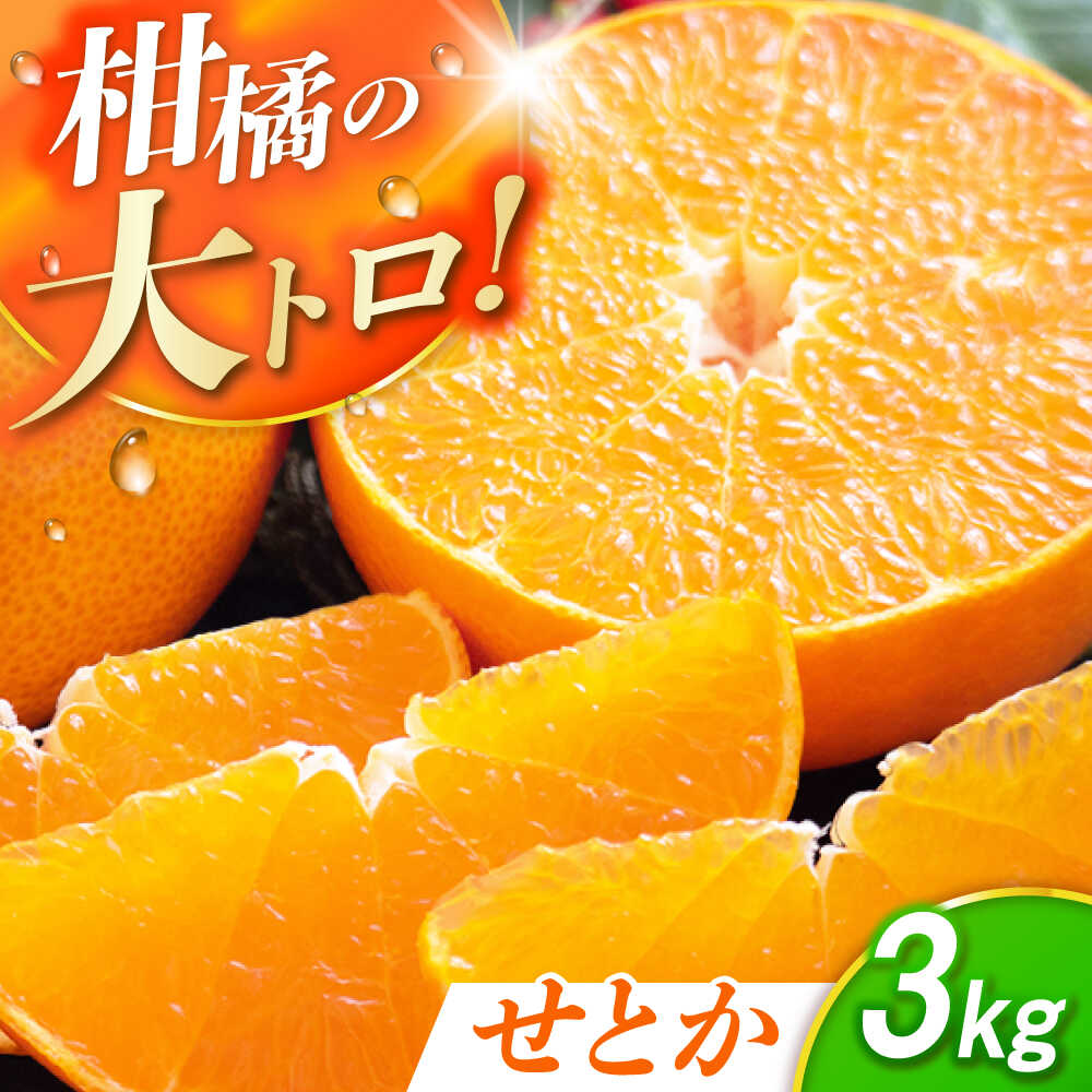 【露地栽培】せとか約3kg（12-15玉） 長与/JAじげもん長与直売所[EAF008]