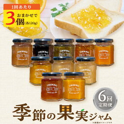 【ふるさと納税】【6回定期便】季節の果実ジャム 3個（各120g） 長与町/アグリューム [EAI090] 瓶 セット ジャム