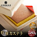 【ふるさと納税】【全3回定期便】【木箱入り】特撰カステラ 580g 長与町/文明堂総本店 [EAK002] カステラ 木箱 贈答