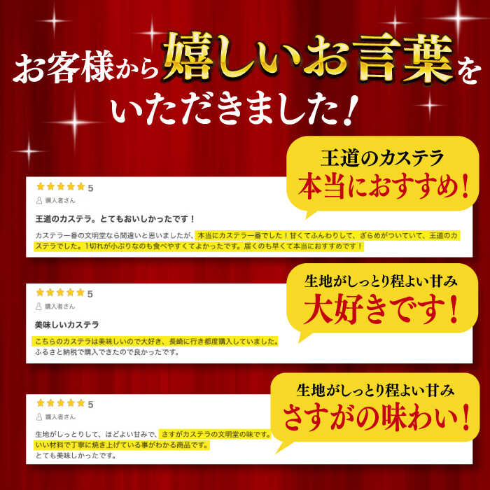 【ふるさと納税】【全3回定期便】 長崎 カステラ 2本（10切/本） 長与町/文明堂総本店 [EAK030] カステラ カット ざらめ お土産