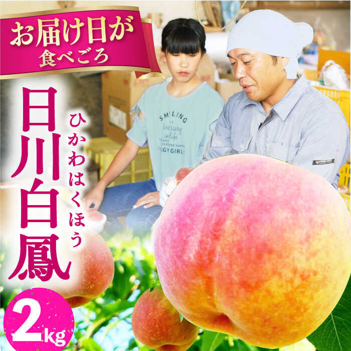 【ふるさと納税】【数量限定】樹上完熟 日川白鳳 桃 2kg 8～10玉 ー2024年6月中旬より発送ー 長与町/小林果樹園 [EAT001] 桃 モモ もも 完熟 数量限定 もも 先行予約 先行予約 フルーツ 白鳳 …