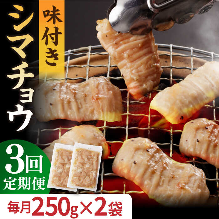 [全3回定期便][塩だれ] 九州産和牛 ホルモン シマチョウ 500g(250g×2袋) 長与町/岩永ホルモン [EAX101] 国産肉 ホルモン シマチョウ 小分け 味付き 冷凍 焼肉 焼き肉 和牛