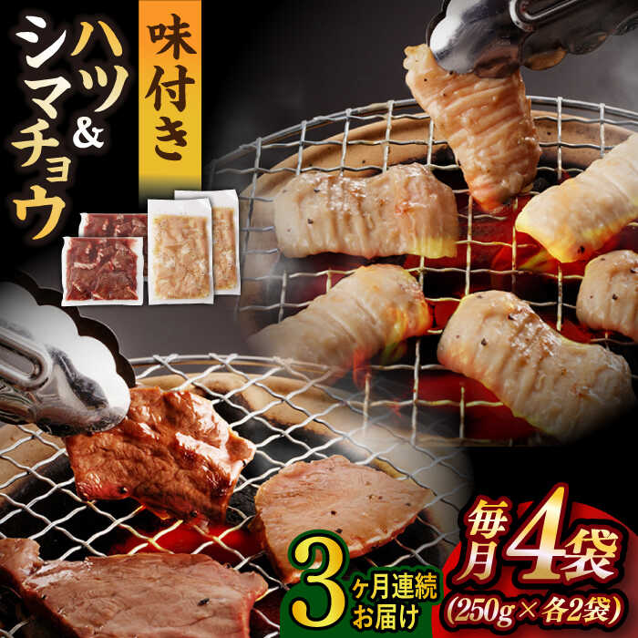 牛肉(ハツ)人気ランク5位　口コミ数「0件」評価「0」「【ふるさと納税】【全3回定期便】【塩だれ味】九州産和牛 ホルモン2種 計1kg（ ハツ 250g×2袋・ シマチョウ 250g×2袋） 長与町/岩永ホルモン [EAX135] 国産 牛肉 ホルモンセット 冷凍」