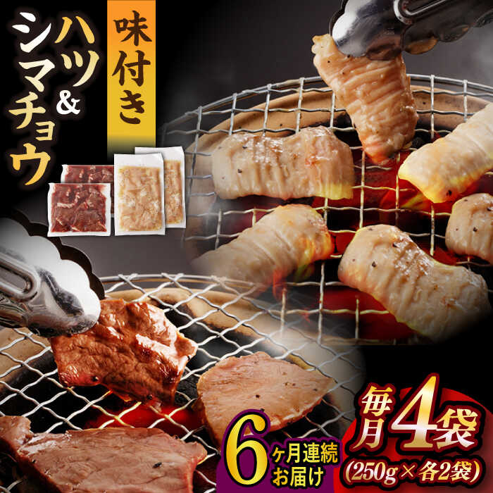 牛肉(ハツ)人気ランク11位　口コミ数「0件」評価「0」「【ふるさと納税】【全6回定期便】【塩だれ味】九州産和牛 ホルモン2種 計1kg（ ハツ 250g×2袋・ シマチョウ 250g×2袋） 長与町/岩永ホルモン [EAX136] 国産 牛肉 ホルモンセット 冷凍」