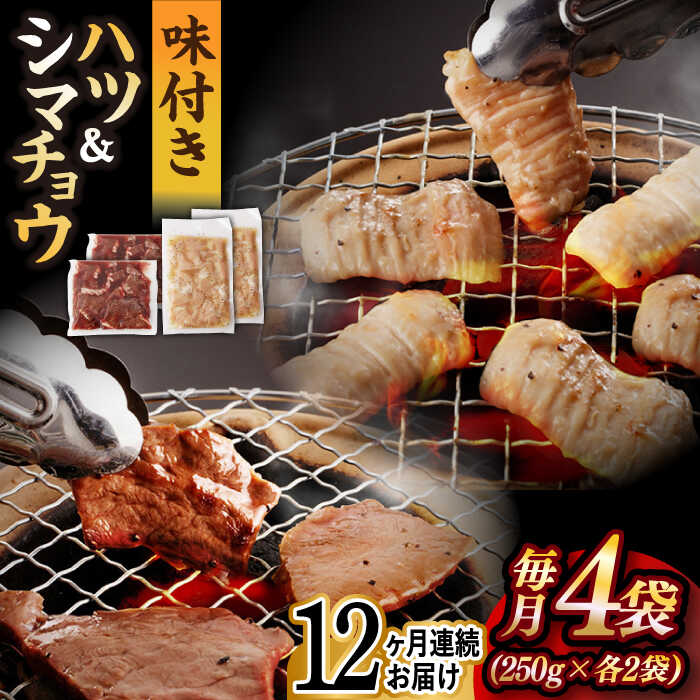 牛肉(ハツ)人気ランク1位　口コミ数「0件」評価「0」「【ふるさと納税】【全12回定期便】【塩だれ味】九州産和牛 ホルモン2種 計1kg（ ハツ 250g×2袋・ シマチョウ 250g×2袋） 長与町/岩永ホルモン [EAX137] 国産 牛肉 ホルモンセット 冷凍」