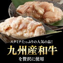 【ふるさと納税】【全3回定期便】【塩だれ味】 九州産和牛 ホルモン 2種 計1kg（ シマチョウ 250g×2袋・ 小腸 250g×2袋） 長与町/岩永ホルモン [EAX147] 国産 牛肉 ホルモンセット 冷凍 2