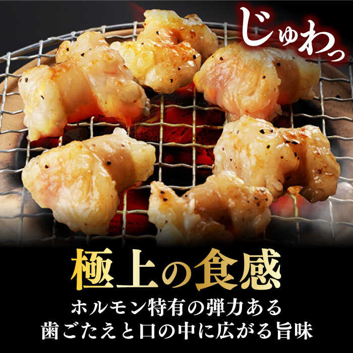 【ふるさと納税】【全12回定期便】【塩だれ】九州産和牛 ホルモン 2種 計1kg（ シマチョウ 250g×2袋・ 丸腸 250g×2袋） 長与町/岩永ホルモン [EAX153] 国産肉 ホルモン ミックス 小分け 味付き 冷凍 焼肉 焼き肉 和牛