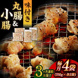 【ふるさと納税】【全3回定期便】【塩だれ味】 九州産和牛 ホルモン 2種 計1kg（ 小腸 250g×2袋・ 丸腸 250g×2袋） 長与町/岩永ホルモン [EAX155] 国産 牛肉 ホルモンセット 冷凍