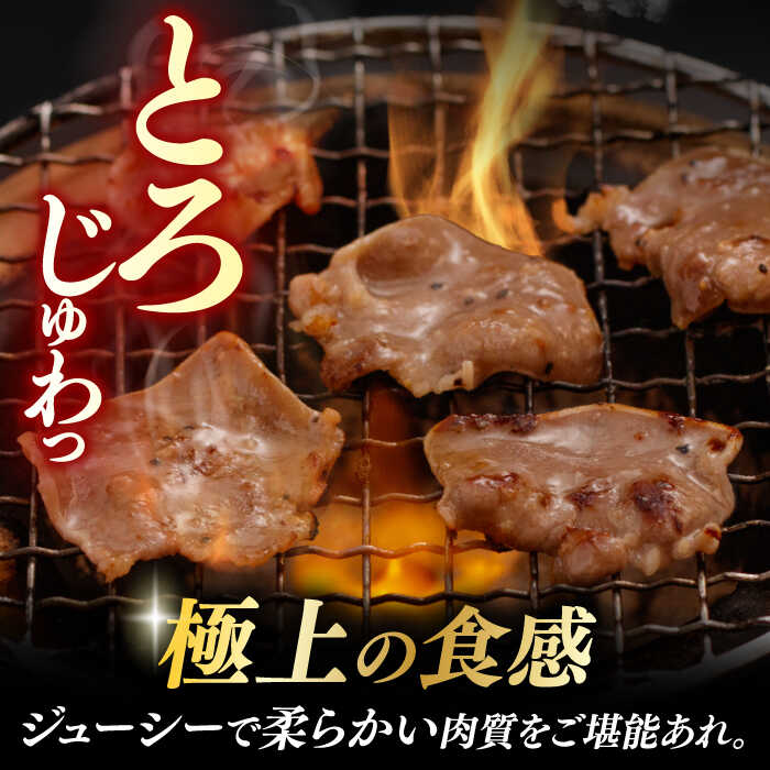 【ふるさと納税】【3回定期便】【塩だれ】九州産 豚タン 毎月250g×2袋 （計1.5kg） 長与町/岩永ホルモン [EAX163] 定期便 ていきびん 九州 長崎 国産 豚 タン 豚タン ぶたたん 豚たん 肉 薄切り 小分け 味付き 塩だれ 焼肉 バーベキュー 冷凍 真空 送料無料 お取り寄せ