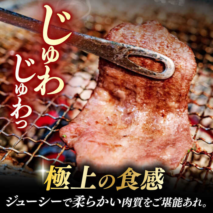 【ふるさと納税】【12回定期便】【塩だれ】九州産和牛の牛タン 約500g（約250g×2パック）国産 牛 タン たん 和牛 長与町/岩永ホルモン [EAX087] 国産 牛タン 九州産和牛 塩だれ牛タン ぎゅうたん 薄切り スライス 味付き 焼肉 焼き肉 冷凍 小分け 真空 定期便 毎月 届く