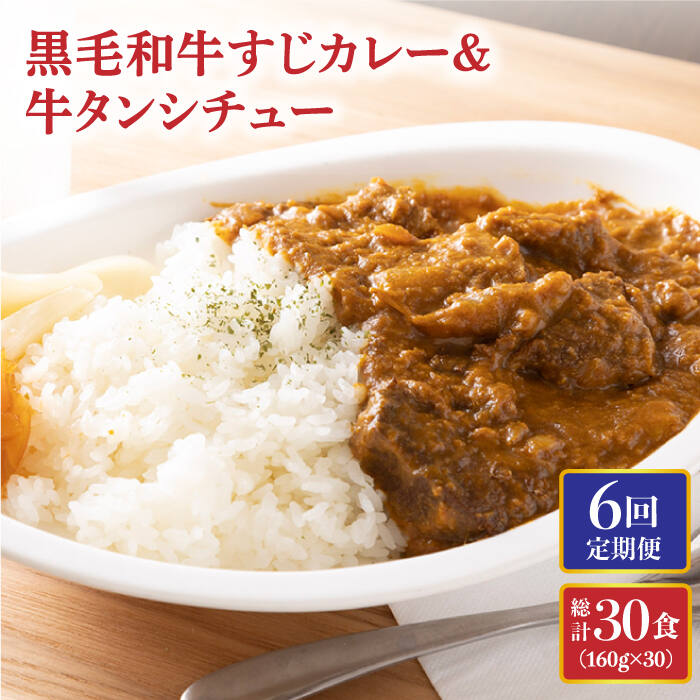 【ふるさと納税】【全6回定期便】 黒毛和牛 牛すじカレー ＆