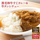 38位! 口コミ数「0件」評価「0」【全12回定期便】 黒毛和牛 牛すじカレー ＆ 牛タンシチュー 毎月5食 長与町/炭火焼肉あおい [EBW005] 和牛カレー タンシチュー･･･ 