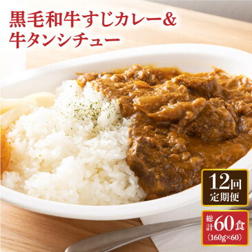 【ふるさと納税】【12回定期便】黒毛和牛すじカレー＆牛タンシチュー5食セット / カレー 牛すじカレー 牛すじ 牛タン タンシチュー 黒毛和牛 タン 肉 レトルト 長崎 長与町＜炭火焼肉あおい＞ [EBW005]