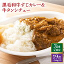 5位! 口コミ数「0件」評価「0」【全3回定期便】 黒毛和牛 牛すじカレー ＆ 牛タンシチュー 毎月3食 長与町/炭火焼肉あおい [EBW007] 和牛カレー タンシチュー ･･･ 