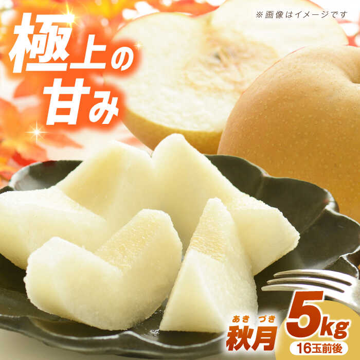【ふるさと納税】【数量限定】秋月（梨）約5kg（16玉前後 L～3L）ー2026年9月より発送ー 長与町/溝上農園 [EBY003] 長崎県産 長与町 先行予約 大容量 フルーツ 果物 梨 なし ナシ 秋月 あきづき 大容量 お取り寄せ