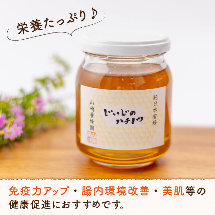 【ふるさと納税】【長崎県産】じいじのハチミツ（純日本蜜蜂ハチミツ）280g/国産 稀少 天然ハチミツ 蜂蜜 健康促進〈山崎養蜂園〉 [ECC001]