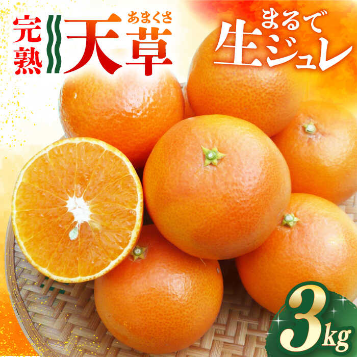 【ご家庭用】 天草 （あまくさ） 3kg 長与町/果豊園 [ECL002] みかん 柑橘 フルーツ 季節限定