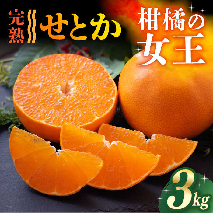 [ご家庭用] せとか 3kg 〜2025年3月より発送〜長与町/果豊園 [ECL003] みかん 柑橘 フルーツ 季節限定