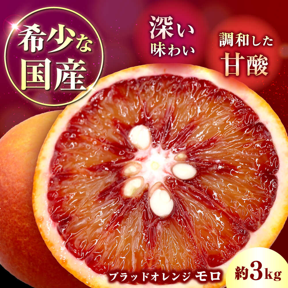 ブラッドオレンジ（モロ）約3kg 長与町/果豊園[ECL011]