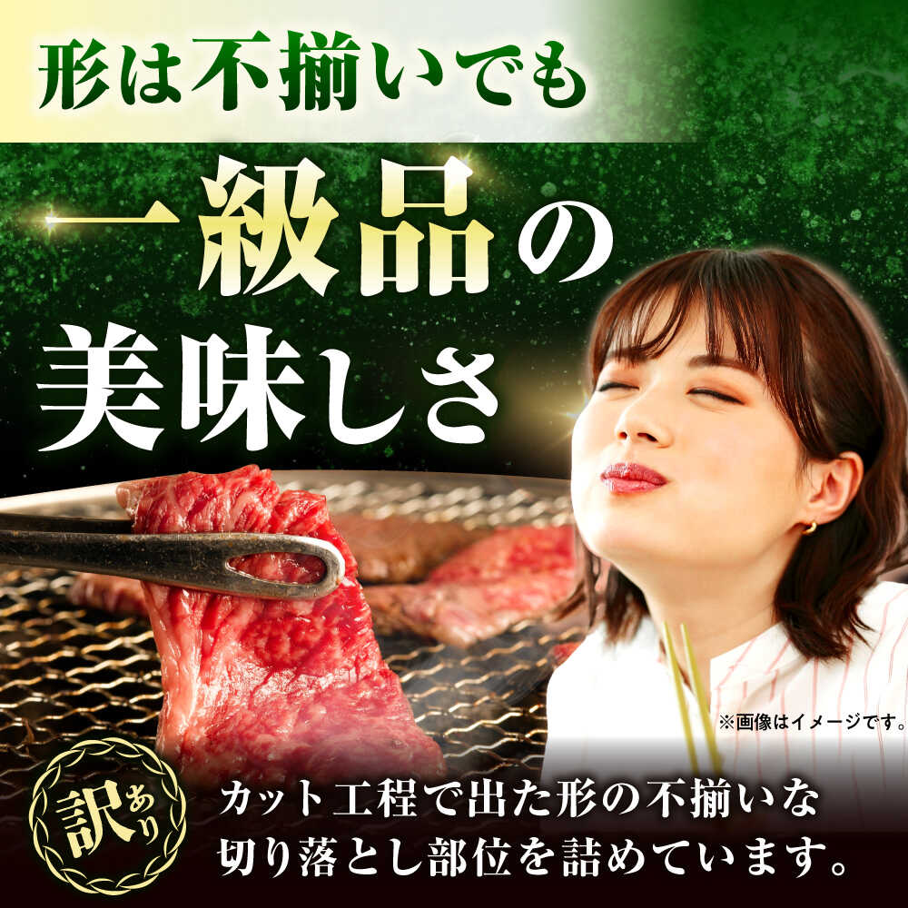 【ふるさと納税】【12回定期便】 【A4-A5】 長崎和牛 焼肉切り落とし 約1kg（500g×2パック）【形に訳あり】長与町/meat shop FUKU[ECS072] f423076-nagayo-10001741 長崎県長与町 サンプル画像3