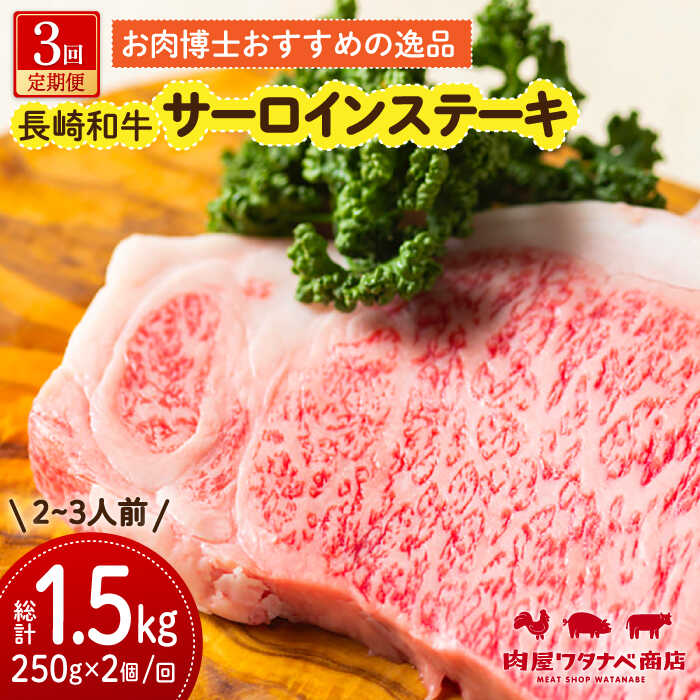 [3回定期便] 長崎和牛 サーロインステーキ 250g×2枚 長与町/ワタナベ商店[ECT010] 定期便 ていきびん 国産 長崎 和牛 肉 サーロイン ステーキ さーろいん すてーき 焼肉 冷凍 贈答 ギフト 柔らかい 甘み ステーキソース ジューシー おいしい 送料無料