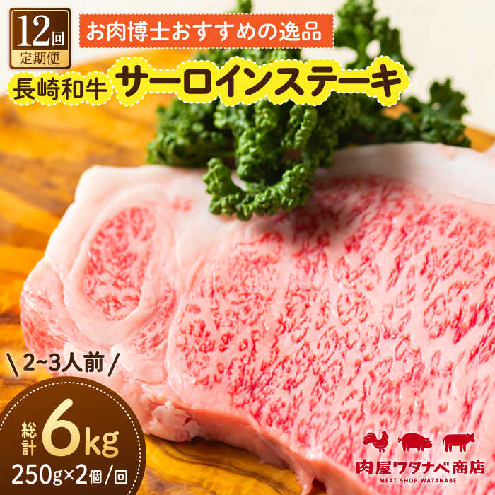 ڤդ뤵Ǽǡۡ12ء Ĺµ 󥹥ơ 250g2 ĹͿĮ/勵ʥپŹ[ECT012]  ƤӤ  Ĺ µ  ...