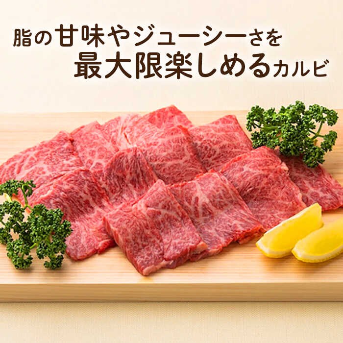 【ふるさと納税】【6回定期便】 長崎和牛 焼肉 カルビ 約500g 長与町/ワタナベ商店[ECT023] 定期便 ていきびん 国産 国産牛 長崎 長崎和牛 牛 和牛 肉 焼き肉 焼肉 焼肉用 カルビ 冷凍 お祝い 柔らかい 脂 ジューシー 豪華 贈答 ギフト 送料無料 人気 おすすめ f423076-nagayo-10001497 長崎県長与町 サンプル画像2