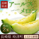 【ふるさと納税】長崎県産 アールスメロン 4L×2玉...