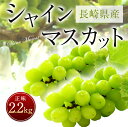 【ふるさと納税】長崎県産 シャインマスカット 正味2.2kg...