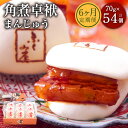 【ふるさと納税】【6ヶ月定期便】長崎 角煮卓袱まんじゅう FT3 70g×9個×6回お届け 合計54個 6ヶ月 定期便 しっぽく 豚肉 角煮 饅頭 セット 詰め...