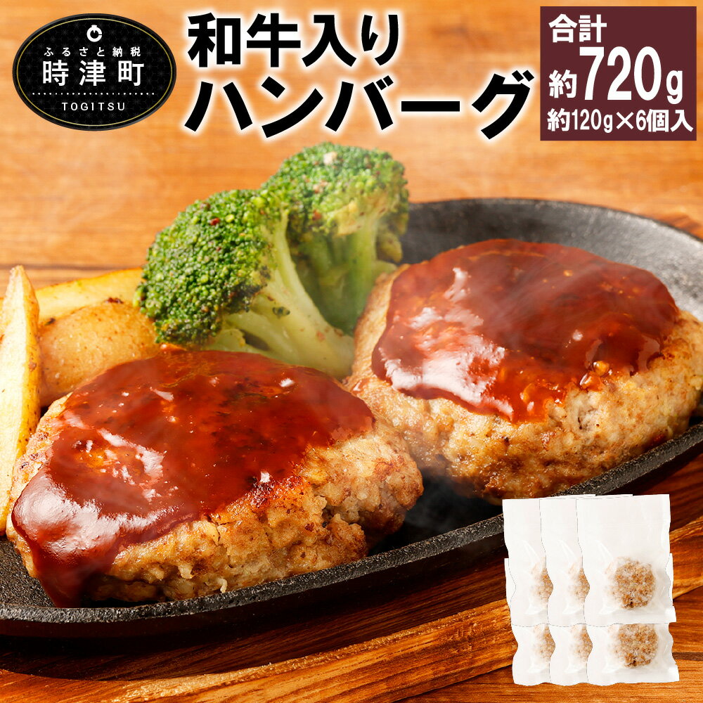 【ふるさと納税】和牛入りハンバーグ 合計720g 約120g 6個入 ハンバーグ 和牛 牛肉 肉 惣菜 おかず 九州 長崎県 冷凍 送料無料