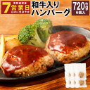 【ふるさと納税】和牛入りハンバーグ 合計720g 約120g×6個入 ハンバーグ 和牛 牛肉 肉 惣菜 おかず 九州 長崎県 冷凍 送料無料