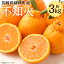 長崎県時津町で買える「【ふるさと納税】【数量限定】長崎県時津町産 不知火 約3kg デコポンと同一品種 蜜柑 みかん 柑橘 果物 フルーツ 長崎県産 九州産 送料無料【2026年3月下旬-4月下旬迄発送予定】」の画像です。価格は10,000円になります。