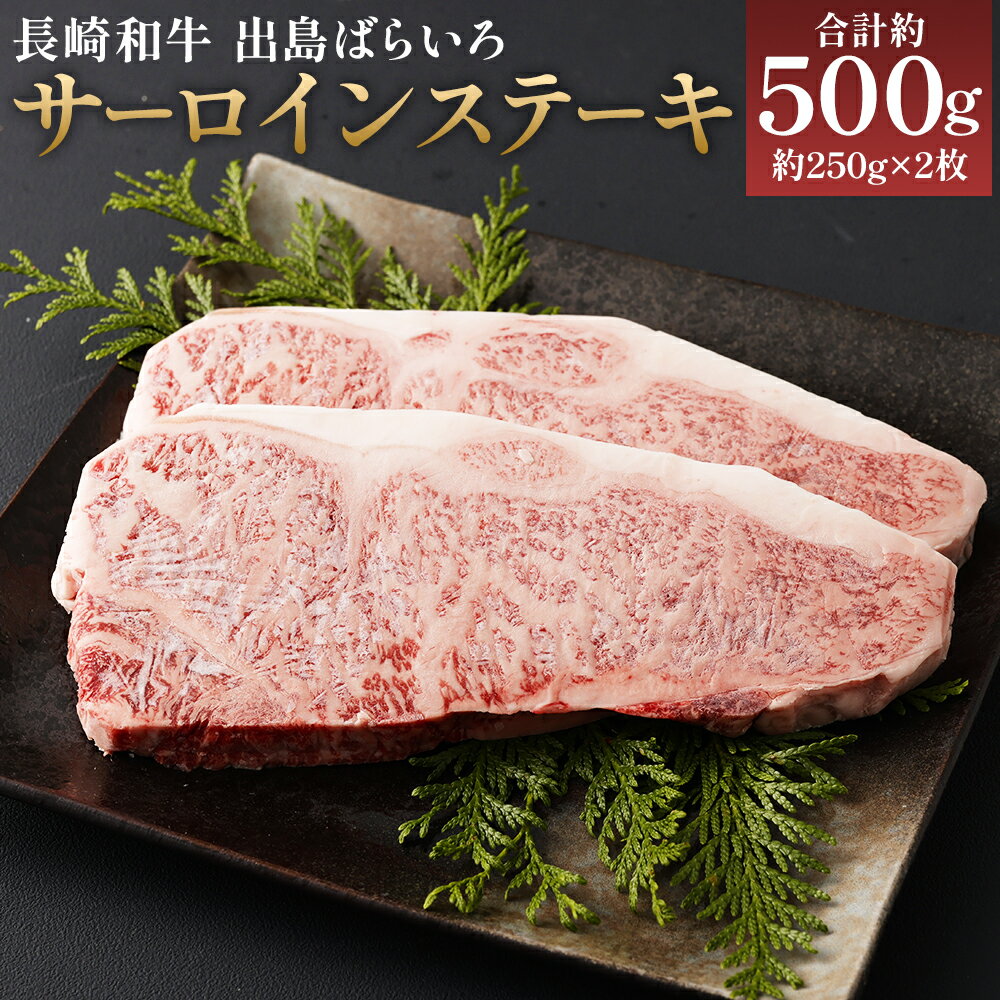 長崎和牛 A5等級 出島ばらいろ サーロインステーキ 合計約500g 約250g×2枚 和牛 お肉 ステーキ 牛肉 長崎県産 九州産 国産 冷凍 送料無料