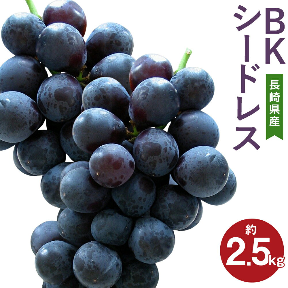【ふるさと納税】先行予約 BKシードレス 約2.5kg 葡萄 ブドウ ぶどう フルーツ 果物 果実 ギフト 長崎県産 送料無料【2023年8月下旬より順次発送予定】のサムネイル