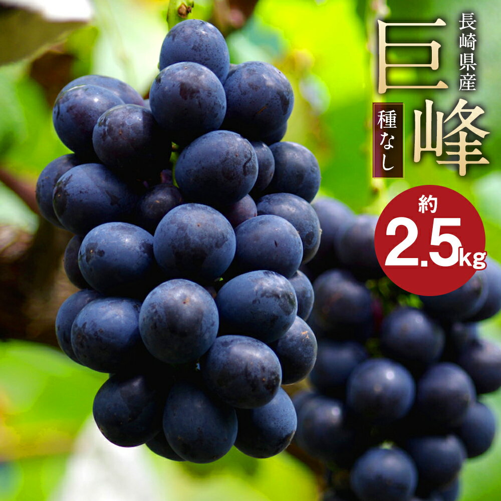 先行予約 巨峰 種なし 約2.5kg 葡萄 ブドウ ぶどう フルーツ 果物 果実 ギフト 長崎県産 送料無料[2025年8月下旬〜9月上旬に順次発送予定]