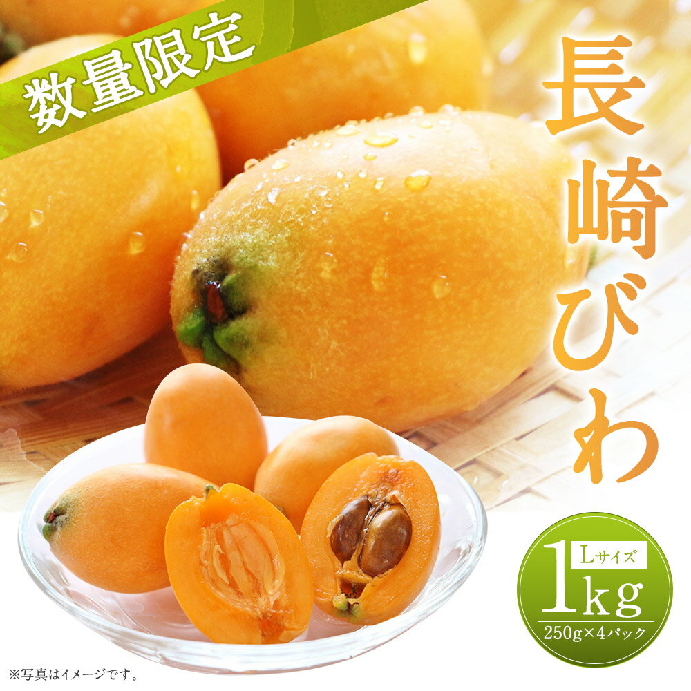 【ふるさと納税】長崎びわ 約1kg 約250g×4パック Lサイズ 秀品相当 長崎県産 枇杷 ビワ フルーツ 果物 果実 送料無料【2024年5月下旬～6月上旬に順次発送予定】