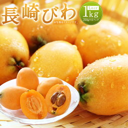 【ふるさと納税】長崎びわ 約1kg 約250g×4パック Lサイズ 秀品相当 長崎県産 枇杷 ビワ フルーツ 果物 果実 送料無料【2024年5月下旬～6月上旬に順次発送予定】