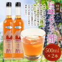 【ふるさと納税】巨峰 ぶどう酢 時津 500ml×2本 合計1L 健康 飲むお酢 お酢ドリンク 健康酢 長崎県 九州産 国産 送料無料