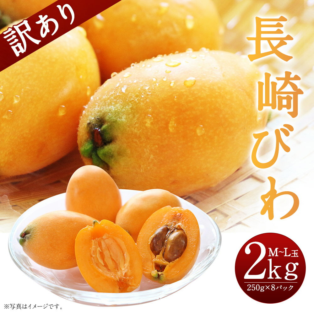 【ふるさと納税】訳あり 長崎びわ 約2kg 約250g×8パック M〜Lサイズ 長崎県産 枇杷 ビワ フルーツ 果物 果実 傷あり ご家庭用 送料無料【2024年5月下旬～6月上旬に順次発送予定】