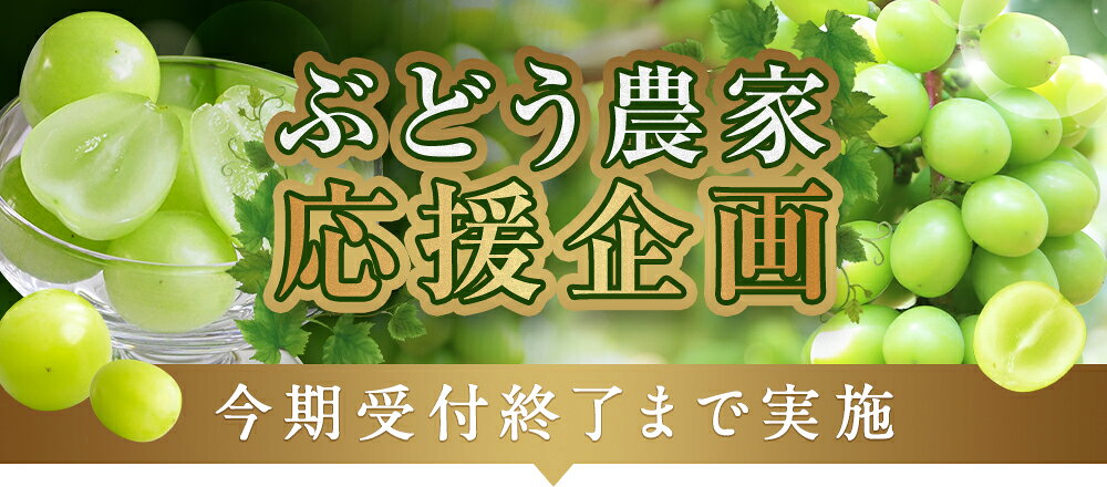【ふるさと納税】《農家応援！1.2kg 8000円〜》 シャインマスカット 約1.2kg / 約1.5kg 厳選 マスカット ぶどう 葡萄 フルーツ 果物 くだもの 旬 種なし 皮ごと 甘い 高糖度 大粒 人気 長崎県産 時津町 冷蔵 送料無料【2026年8月下旬～9月下旬迄順次発送予定】 f423084-togitsu-10000204 長崎県時津町 サンプル画像2