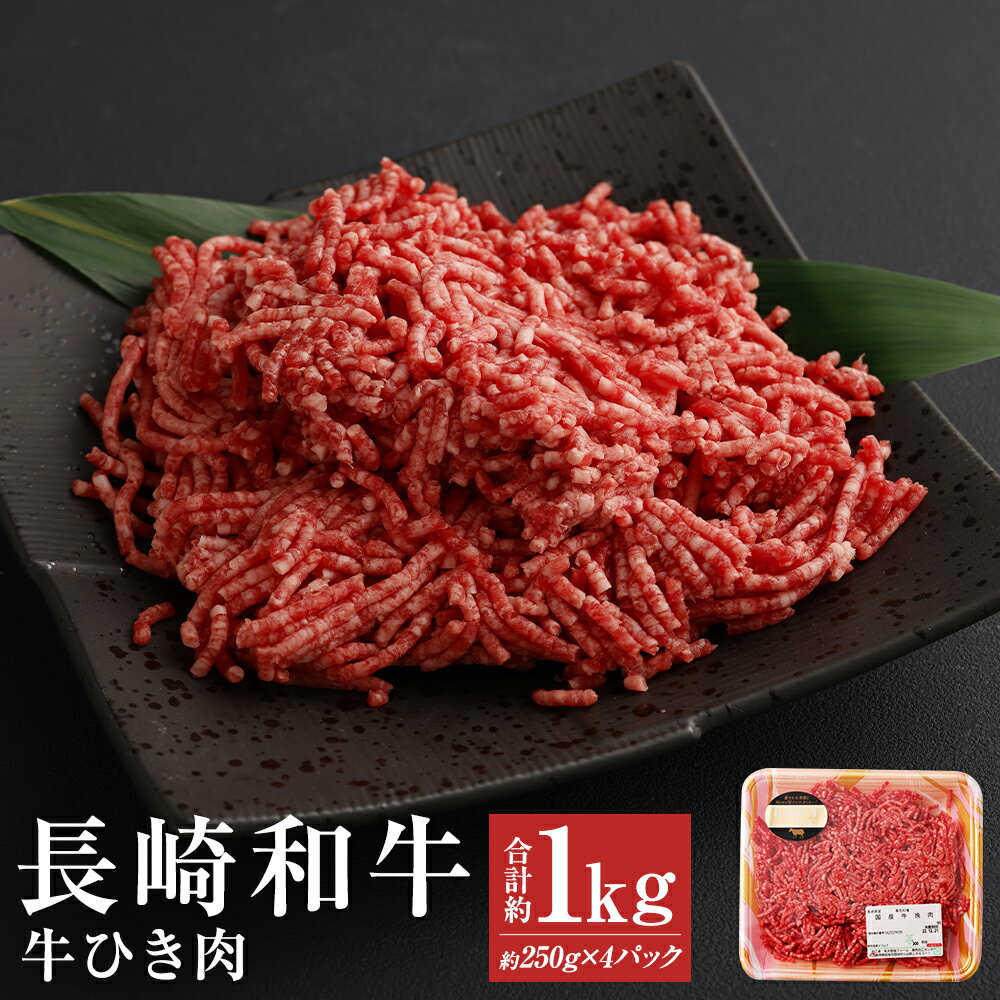 長崎和牛100% 牛ひき肉 合計約1kg 約250g×4パック 和牛 お肉 牛肉 ミンチ 小分け 長崎県産 九州産 国産 冷凍 送料無料