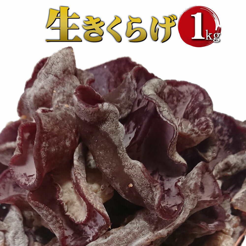 【ふるさと納税】生きくらげ 1kg ご家庭用 中華 和食 スイーツ 食べる漢方 冷蔵 純国内産 送料無料【20..