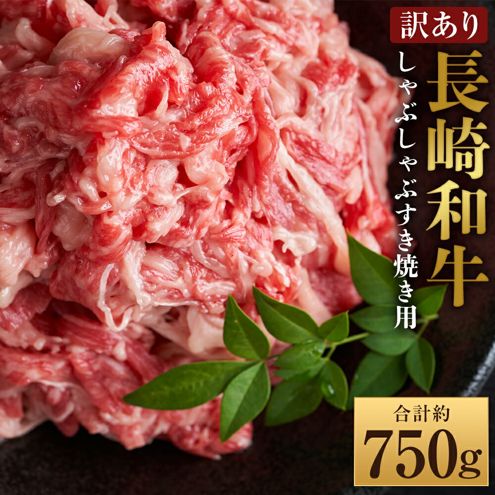 [訳あり][A4〜A5]長崎和牛 しゃぶしゃぶ すき焼き セット 計約750g スライス(約250g×1)・切り落とし(約500g×1) 黒毛和牛 和牛 牛肉 お肉 肩ロース 肩バラ モモ もも肉 バラ 赤身 霜降り すきやき 冷凍 長崎県産 国産 九州 長崎県 時津町 送料無料