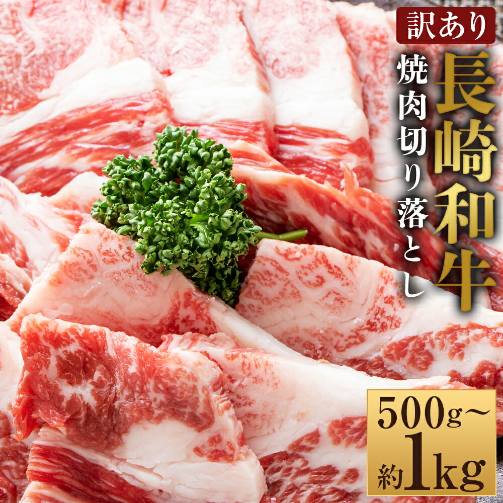 [選べる内容量][訳あり][A4〜A5]長崎和牛 焼肉 切り落とし(肩ロース・バラ) 約500g・計約1kg(約500g×2パック) 黒毛和牛 牛肉 お肉 赤身 霜降り 冷凍 長崎県産 国産 九州 長崎県 時津町 送料無料