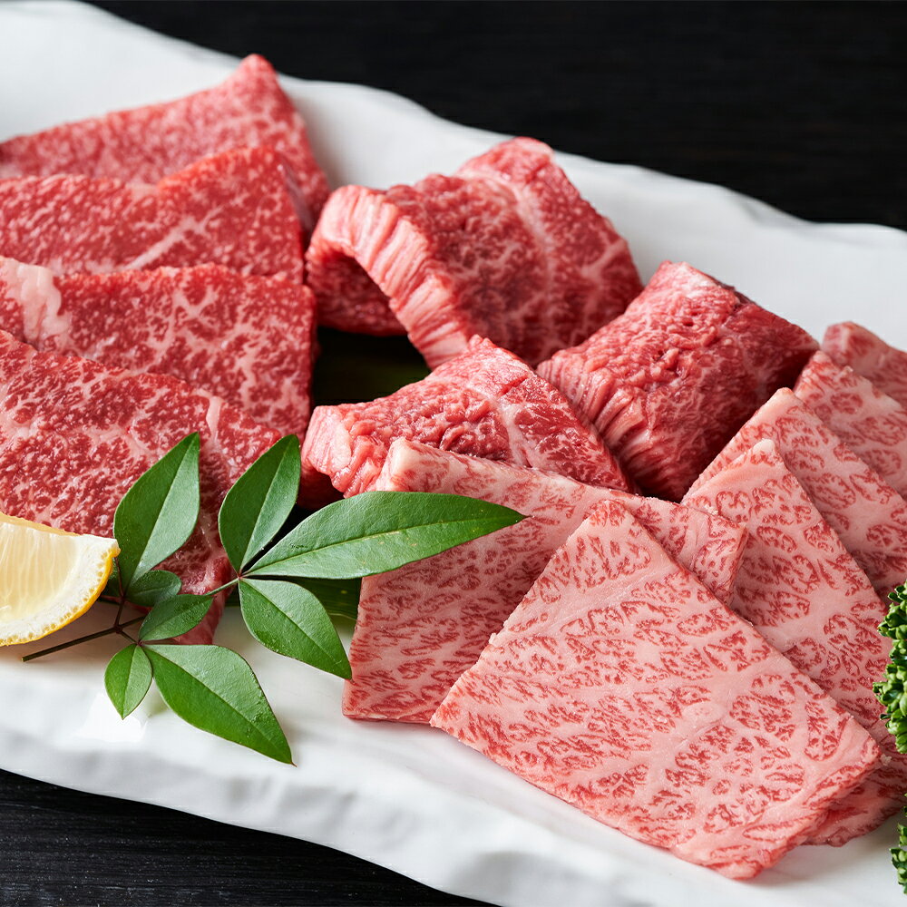 【ふるさと納税】＜選べる内容量＞【訳あり】【A4～A5】長崎和牛 焼肉 切り落とし（肩ロース・バラ） 約500g・計約1kg（約500g×2パック） 黒毛和牛 牛肉 お肉 赤身 霜降り 冷凍 長崎県産 国産 九州 長崎県 時津町 送料無料 f423084-togitsu-10000958 長崎県時津町 サンプル画像3