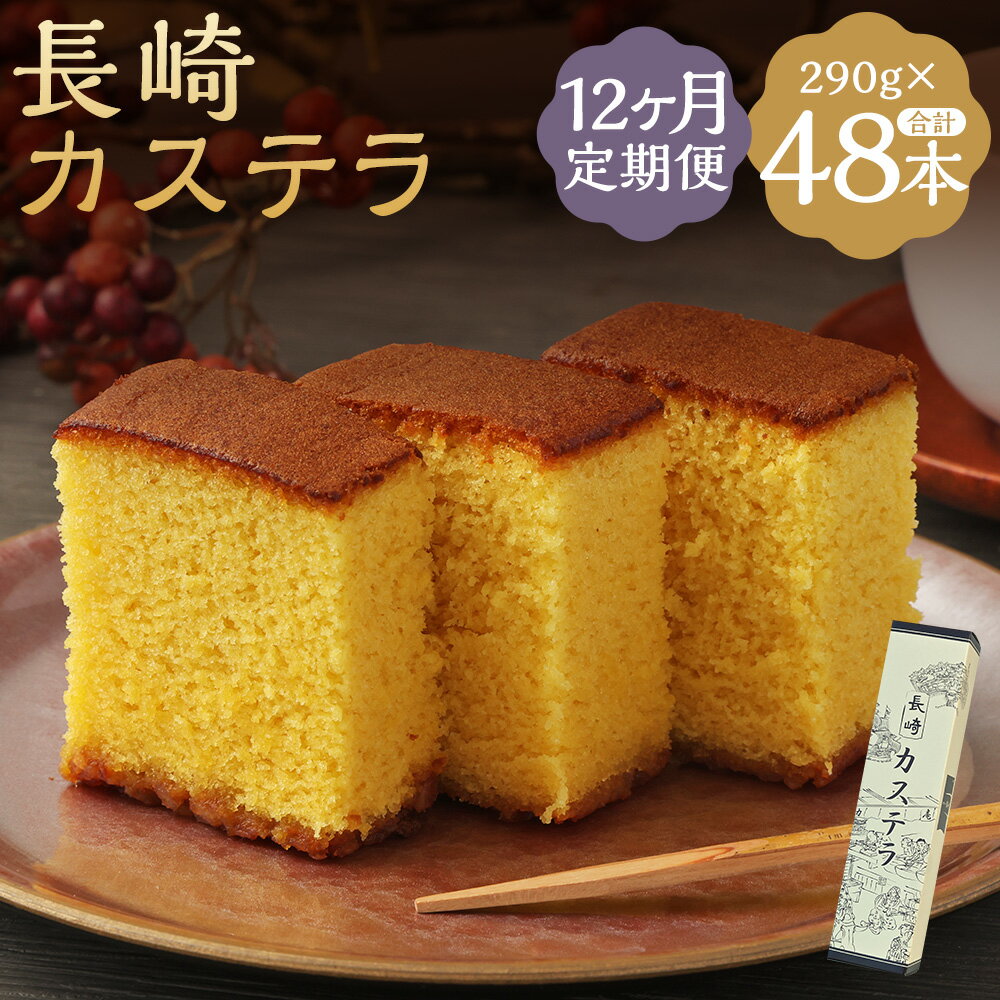 【ふるさと納税】【12ヶ月定期便】長崎カステラ糖庵 0.5号 290g×4本×12回お届け 定期便 カットなし かすてら ザラメ糖 麦芽水飴 お菓子 和菓子 ス...