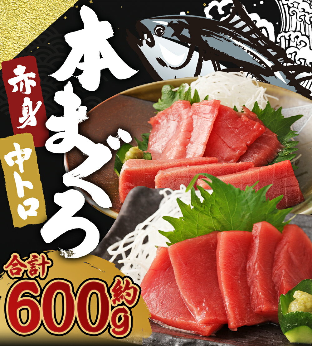 【ふるさと納税】長崎県産 本マグロ2種盛り「中トロ・赤身」合計600g 300g×2種【大村湾漁業協同組合】