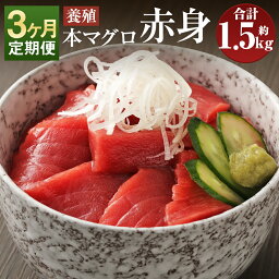 【ふるさと納税】【3ヶ月定期便】長崎県産 本マグロ 赤身 約500g×3回お届け 合計約1.5kg【大村湾漁業協同組合】